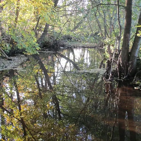 Grosse, Hundfreundliche In Der Naehe Des Flusses Medebach